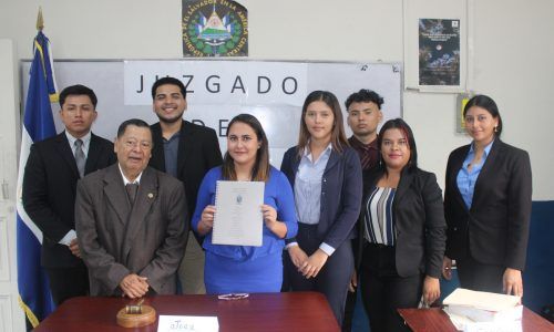 Simulación de Audiencia Preliminar