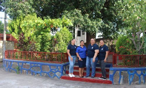Proyecto Ornato y Limpieza del Árbol del Tempisque